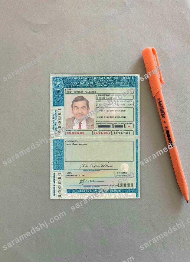 Brazil DL (Detran-Pe[Pernambuco) photolook